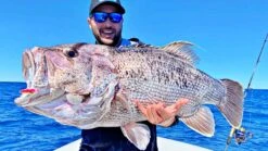 Assassin Spinmaster 17 Assassin Spinmaster -Fishing Equip Store 18kgDhuCover