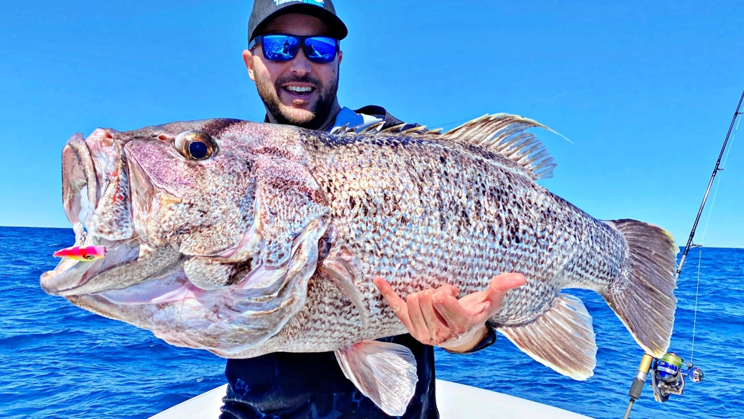 Assassin Spinmaster 10 Assassin Spinmaster - Image 8