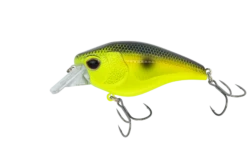 Nomad Design Atlas 55 Square Bill Crank FLT FR -Fishing Equip Store ATL55 F CBB