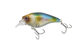 Nomad Design Atlas 55 Square Bill Crank FLT FR -Fishing Equip Store ATL55 F NSHD