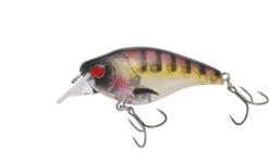 Nomad Design Atlas 55 Square Bill Crank FLT FR -Fishing Equip Store ATL55 F TG