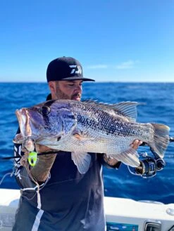 Vexed Bottom Meat Bundle -Fishing Equip Store BottomMeatMatt