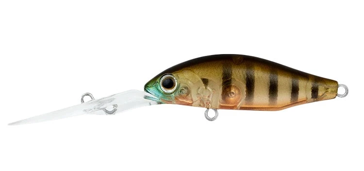 Daiwa Infeet Spike 44EXDR 13 Daiwa Infeet Spike 44EXDR - Image 11