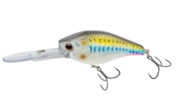 Nomad Design D-Trak 65 Deep Crank FLT FR -Fishing Equip Store DTK65 F TSHD