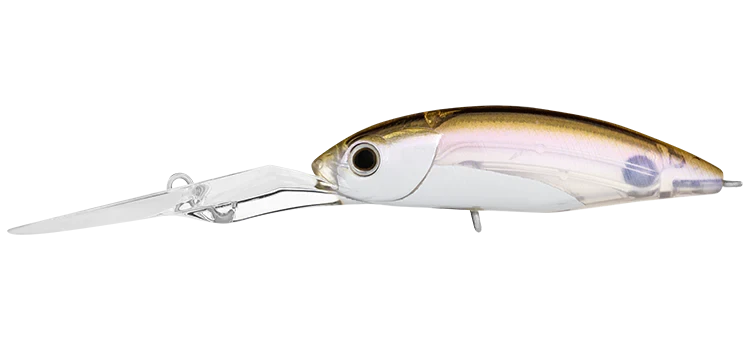 Daiwa Infeet Spike 53EXDR 5 Daiwa Infeet Spike 53EXDR - Image 3