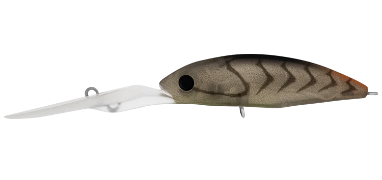 Daiwa Infeet Spike 53EXDR 6 Daiwa Infeet Spike 53EXDR - Image 4