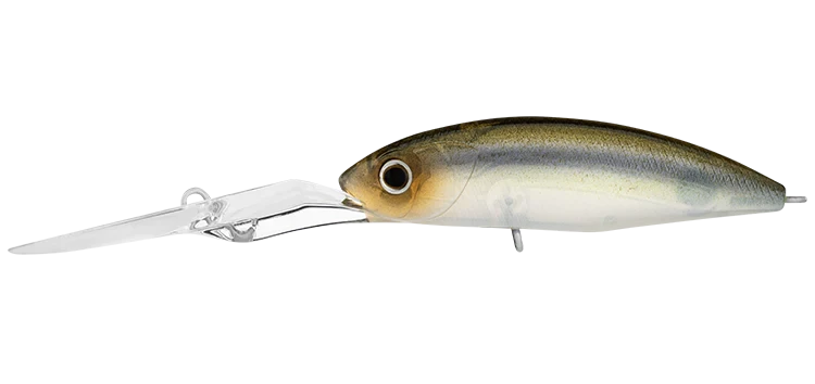 Daiwa Infeet Spike 53EXDR 8 Daiwa Infeet Spike 53EXDR - Image 6