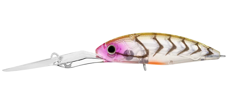 Daiwa Infeet Spike 53EXDR 10 Daiwa Infeet Spike 53EXDR - Image 8