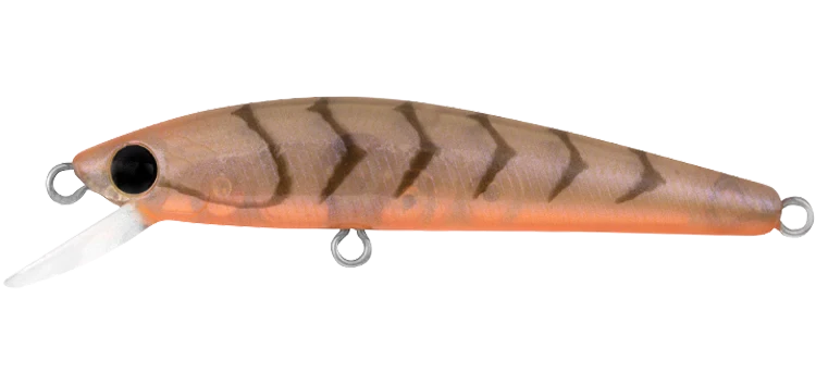 Daiwa Presso Minnow 60F 4 Daiwa Presso Minnow 60F - Image 2