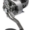 Daiwa Saltiga Star Drag 1 Daiwa Saltiga Star Drag -Fishing Equip Store DaiwaSaltigaStarDragReel