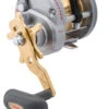 Daiwa Saltist Levelwind -Fishing Equip Store DaiwaSaltistLWReel