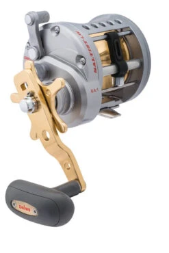 Daiwa Saltist Levelwind