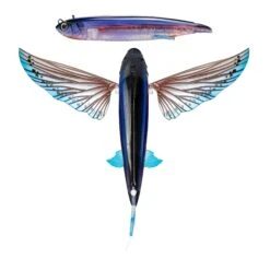 Nomad Slipstream Flying Fish 200 -Fishing Equip Store FF ULS Ulysses b0ab55cd aa5f 4ee4 978d da39d9663dc1