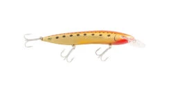Halco RMG Scorpion 125dd 12 Halco RMG Scorpion 125dd -Fishing Equip Store HalcoScorpion125KingBrown