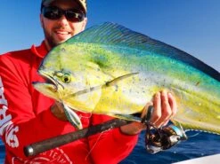 Nomad Design Madscad 115 -Fishing Equip Store IMG 6396