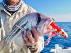 Hunt Tackle Kacka 28 Hunt Tackle Kacka -Fishing Equip Store IMG 6441