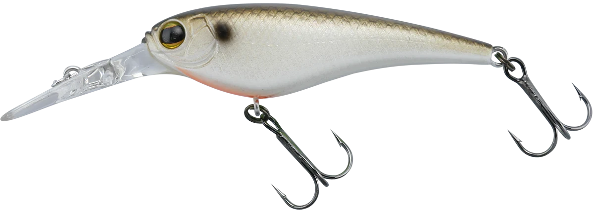 Imakatsu IS Wasp 50 6 Imakatsu IS Wasp 50 - Image 4