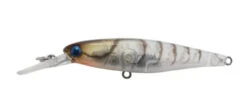 Jackall Squirrel 61SP -Fishing Equip Store JackallSquirrel61SPGhostShrimp dfbe4ea6 a430 4865 9f7b 0e7bb81c25e7
