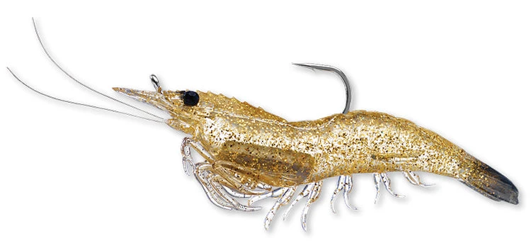 Live Target Shrimp 4 Live Target Shrimp - Image 2