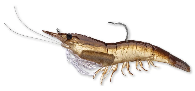 Live Target Shrimp 5 Live Target Shrimp - Image 3