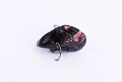 Micro Mussel -Fishing Equip Store MicroMussleTacklewest MoltenRock