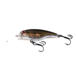 Ecogear SX40F -Fishing Equip Store P3180073