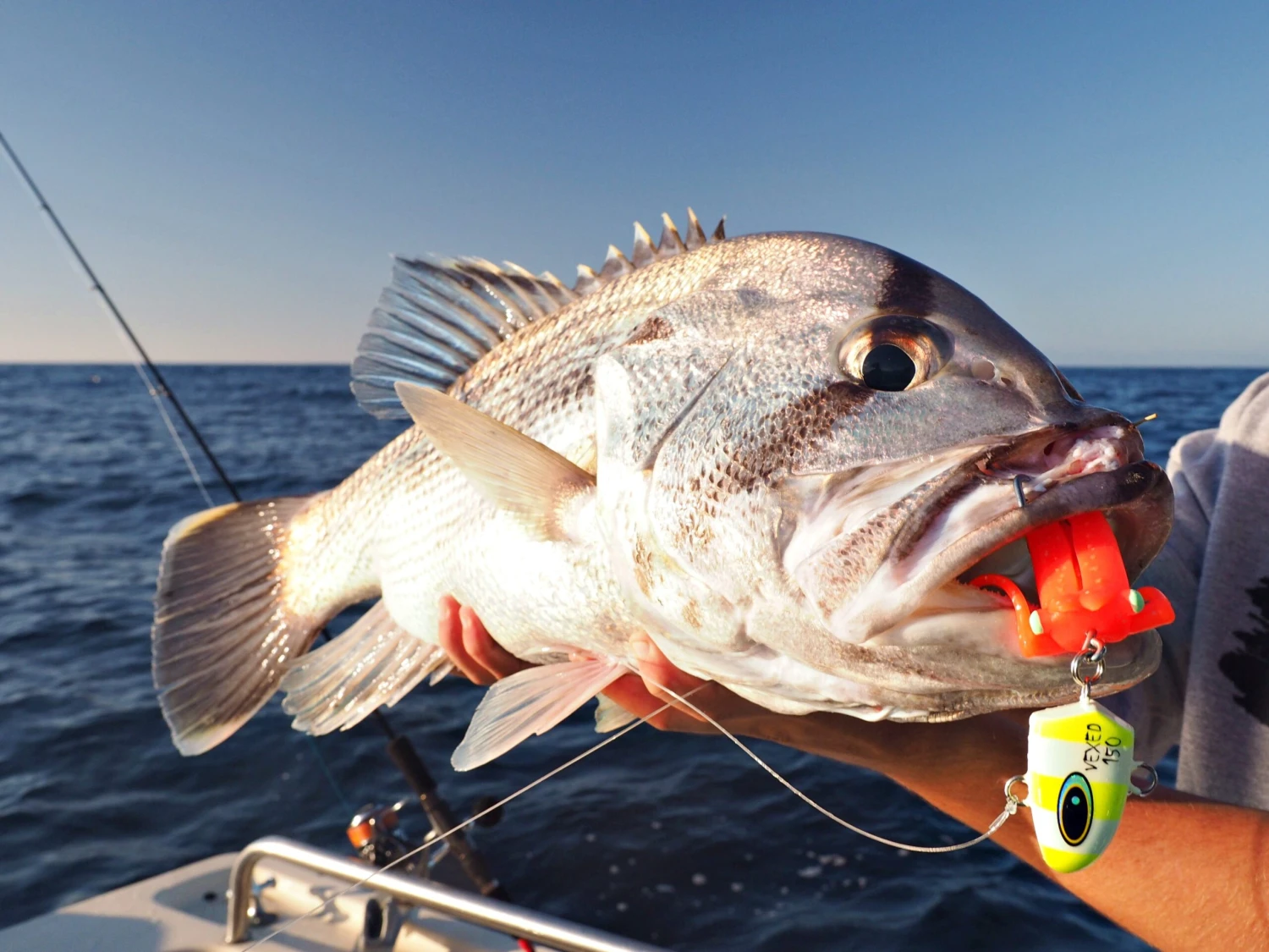 Hunt Tackle Kacka 13 Hunt Tackle Kacka - Image 11