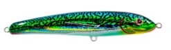 Nomad Design Riptide 115F -Fishing Equip Store Rip125 SS SGM 20b4ea28 4eae 44a6 a9e9 7790f1277c4a