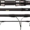 Daiwa Saltiga 21 C 2 Daiwa Saltiga 21 C -Fishing Equip Store SALTIGAC 2000x f46fc913 3fa7 48f2 98be 0f2546b78b84