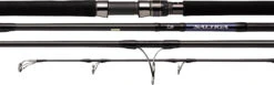 Daiwa Saltiga 21 C