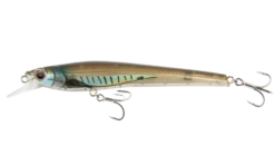 Nomad Design Shikari 115 FLT -Fishing Equip Store SHK115 F MSH