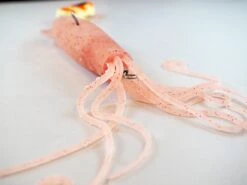 Vexed Bottom Sack -Fishing Equip Store VexedBottomSack2