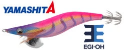 Yamashita Egi Oh Live