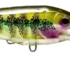 Nomad Design DTX Minnow 140 -Fishing Equip Store dtx140 f ggb