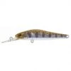Zipbaits Rigge 56SPD 2 Zipbaits Rigge 56SPD -Fishing Equip Store ririgge deep 56sp 810 1jpg